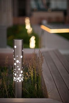 backyard lighting trends