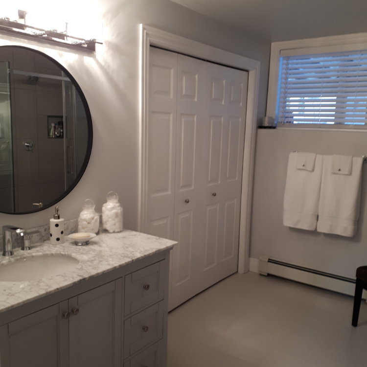Basement Bathroom Renovation 3
