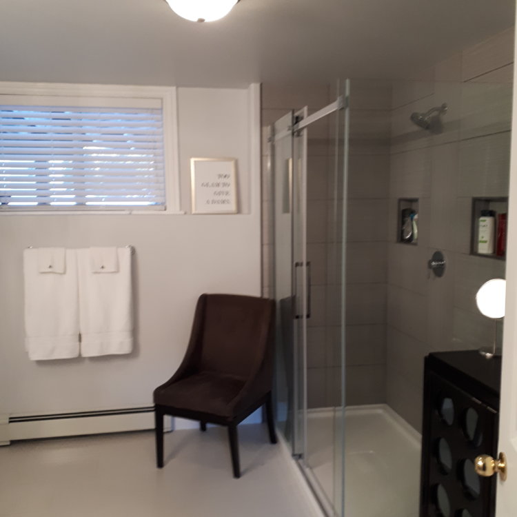 Basement Bathroom Renovation 2