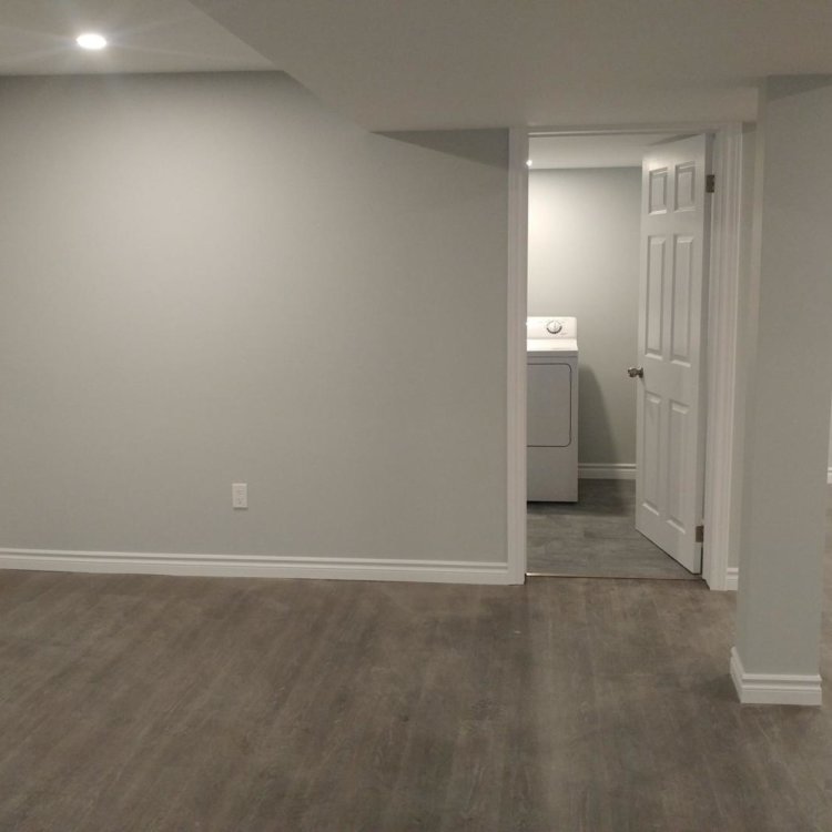 Basement Renovation 4