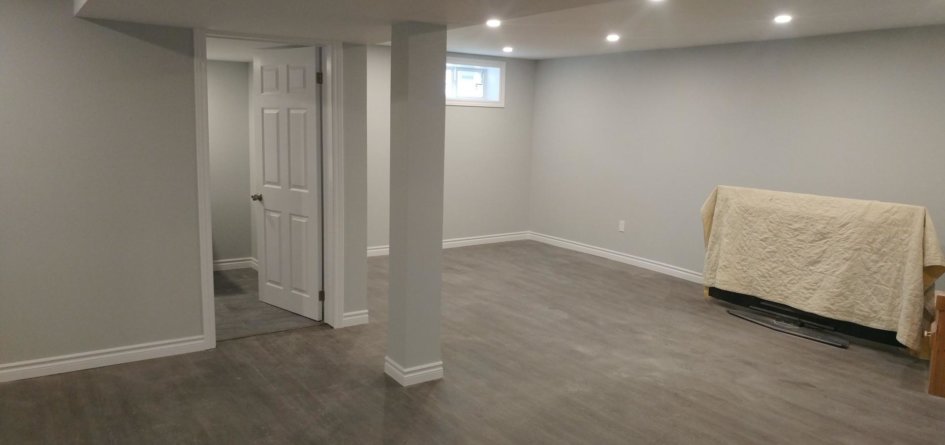 Basement Renovation