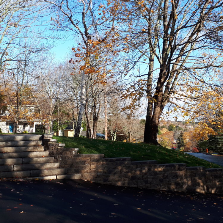 Stone Retaining Walls 6